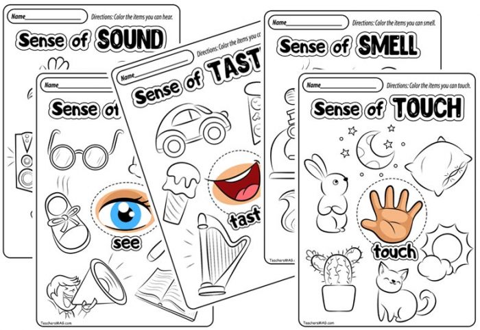 sense of taste printable book