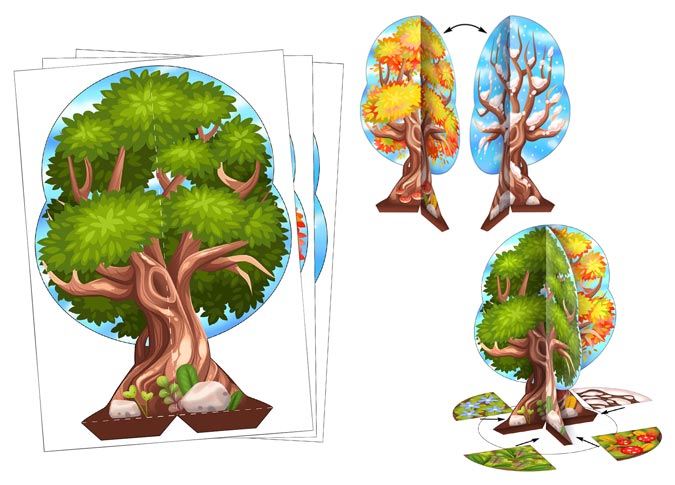 4 seasons tree clipart