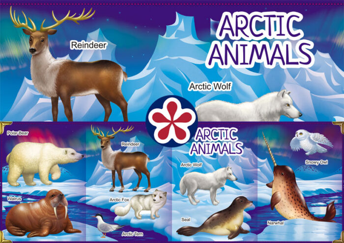 Arctic Animals Printable Poster | BuyLapbook