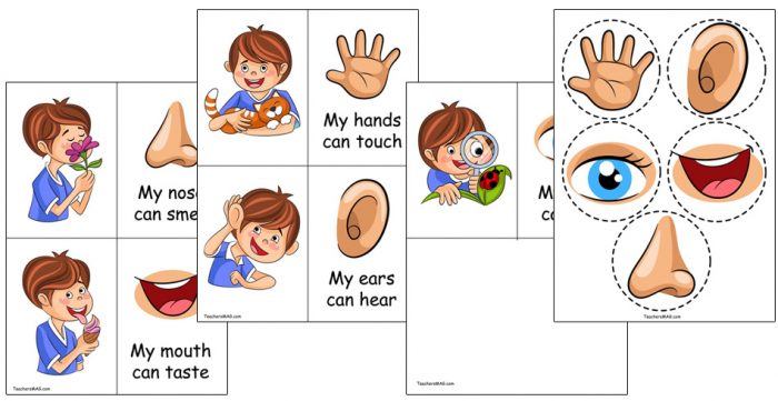 5 senses activities for preschoolers buylapbook