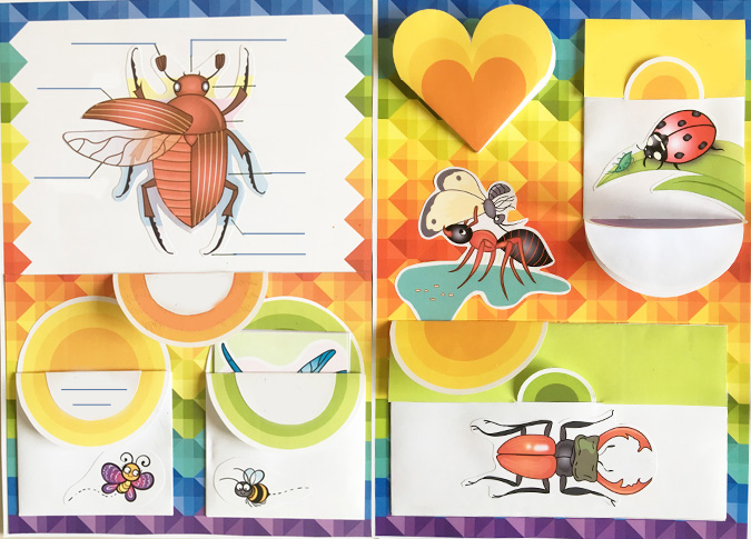 lapbook examples insects