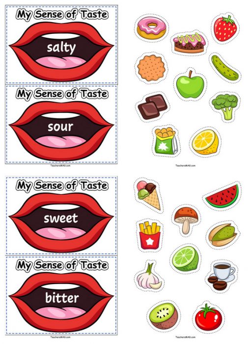 Five Senses Activities For Kindergarten