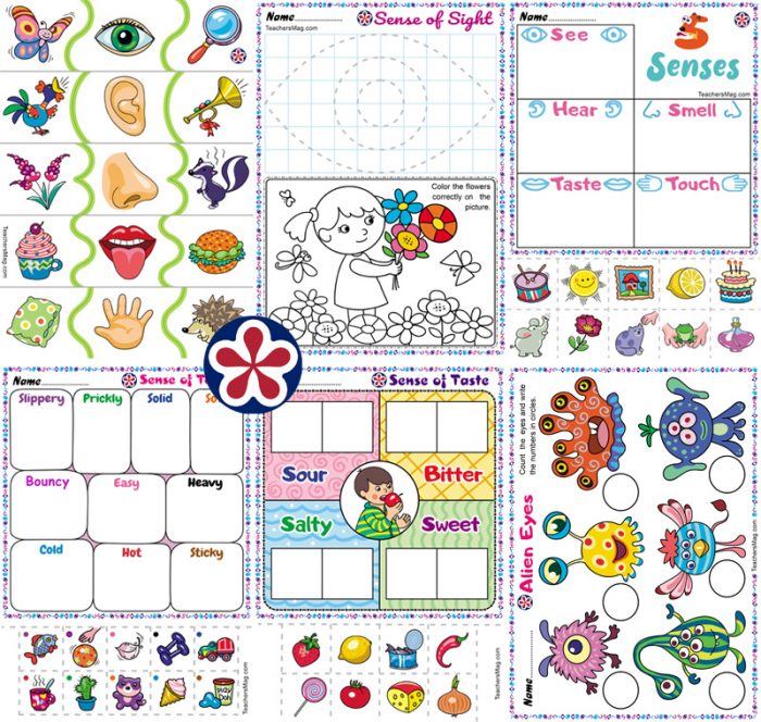 5 senses cut and paste worksheets