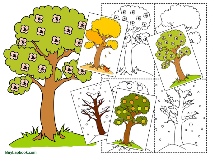 Four Seasons Illustration 4 Box Pattern Stock Illustration 2002846229 |  Shutterstock