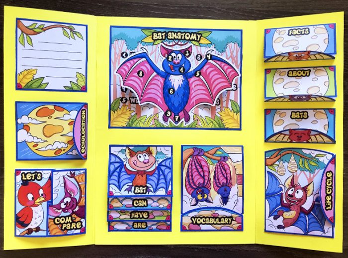 All about bats Lapbook