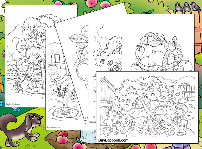 An Apple Tree Life Cycle Free Printable Resources Buylapbook