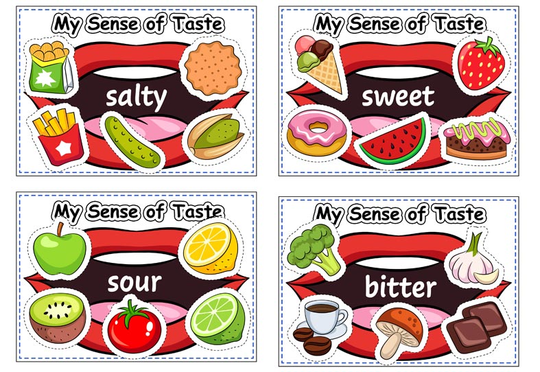 royalty free photo sense of taste