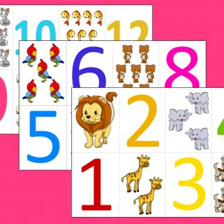 Colorful Numbers 1-12 Flashcards