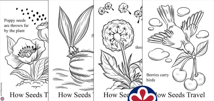 Plant worksheets