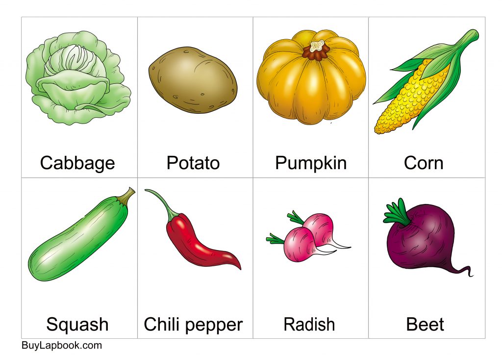 vegetable flashcards