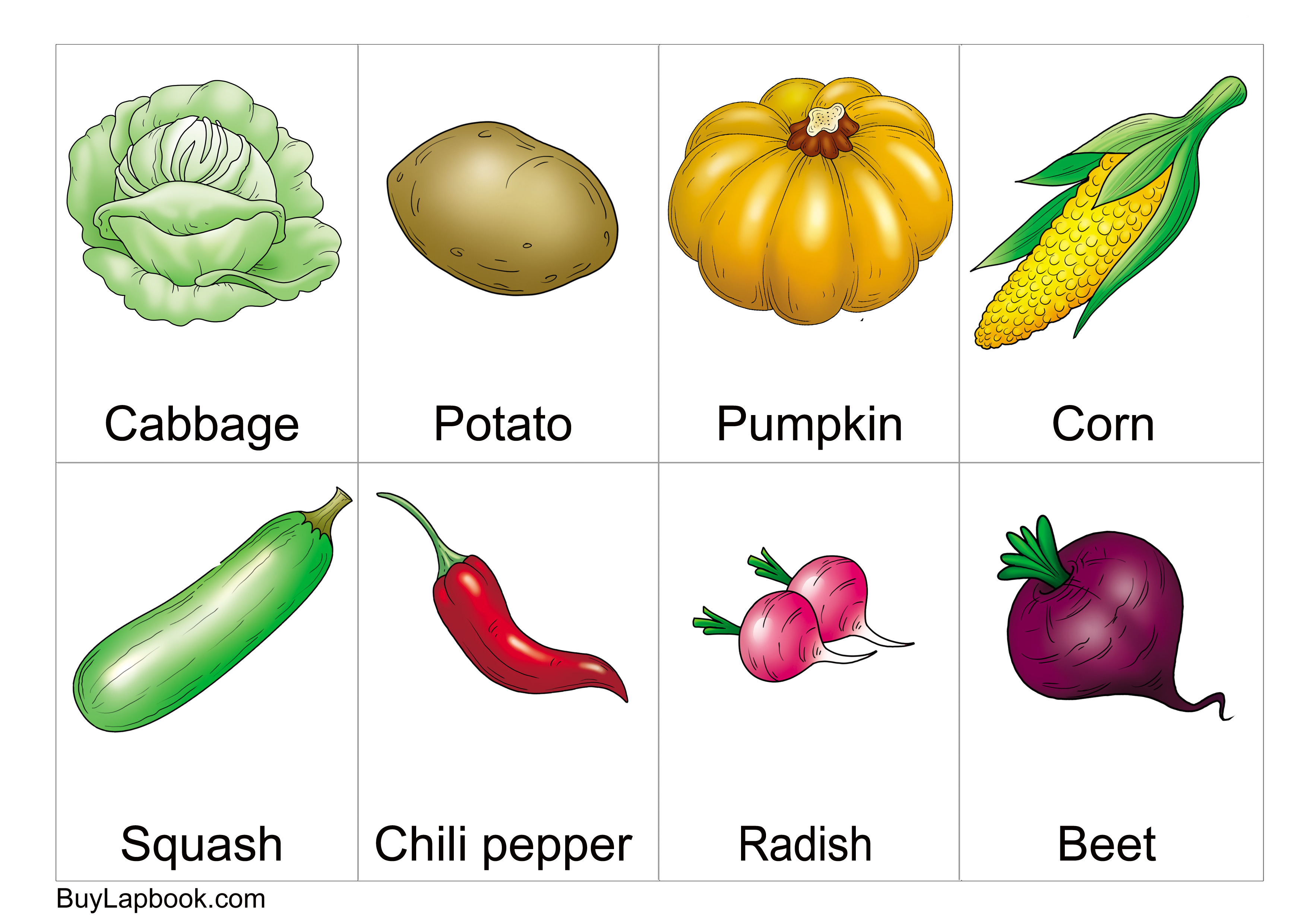 Free Printable Fruits And Vegetables Flashcards