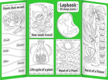 Plants Lapbook