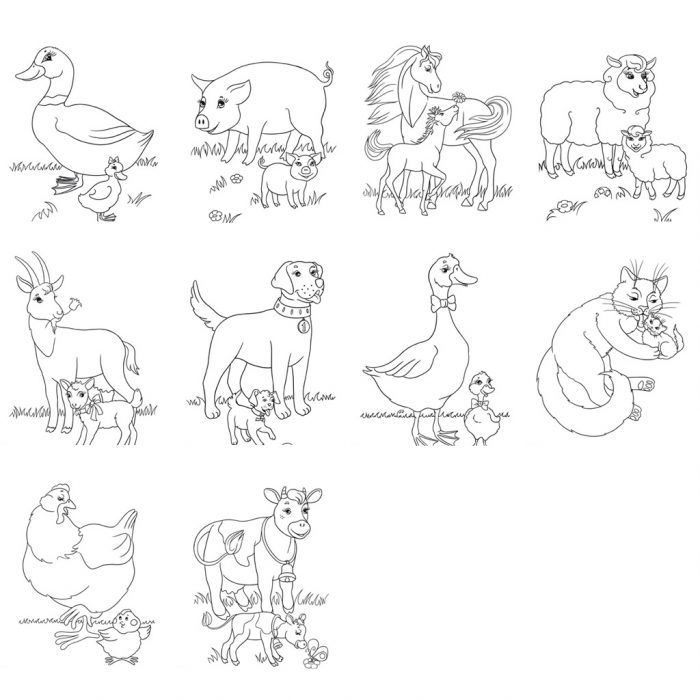 Farm Animal Worksheets and Activities | BuyLapbook