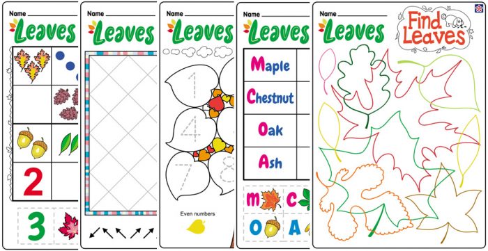 Fall Leaves Worksheets