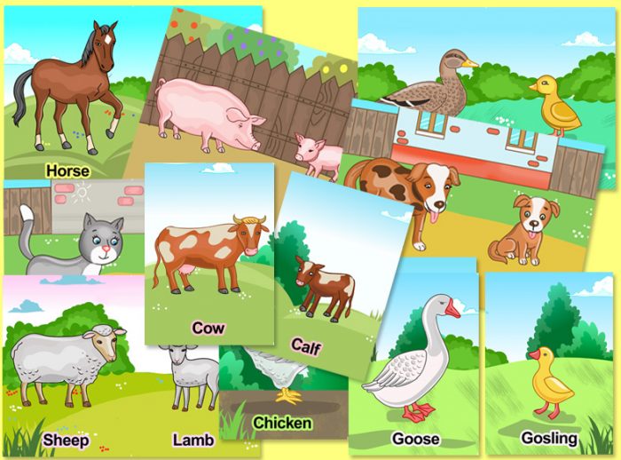 farm animals preschool activity