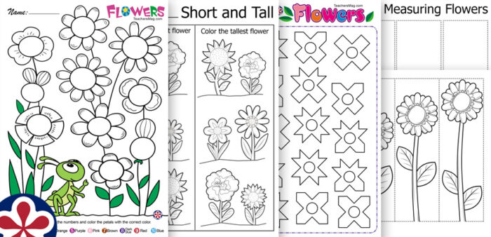  Flower Worksheets