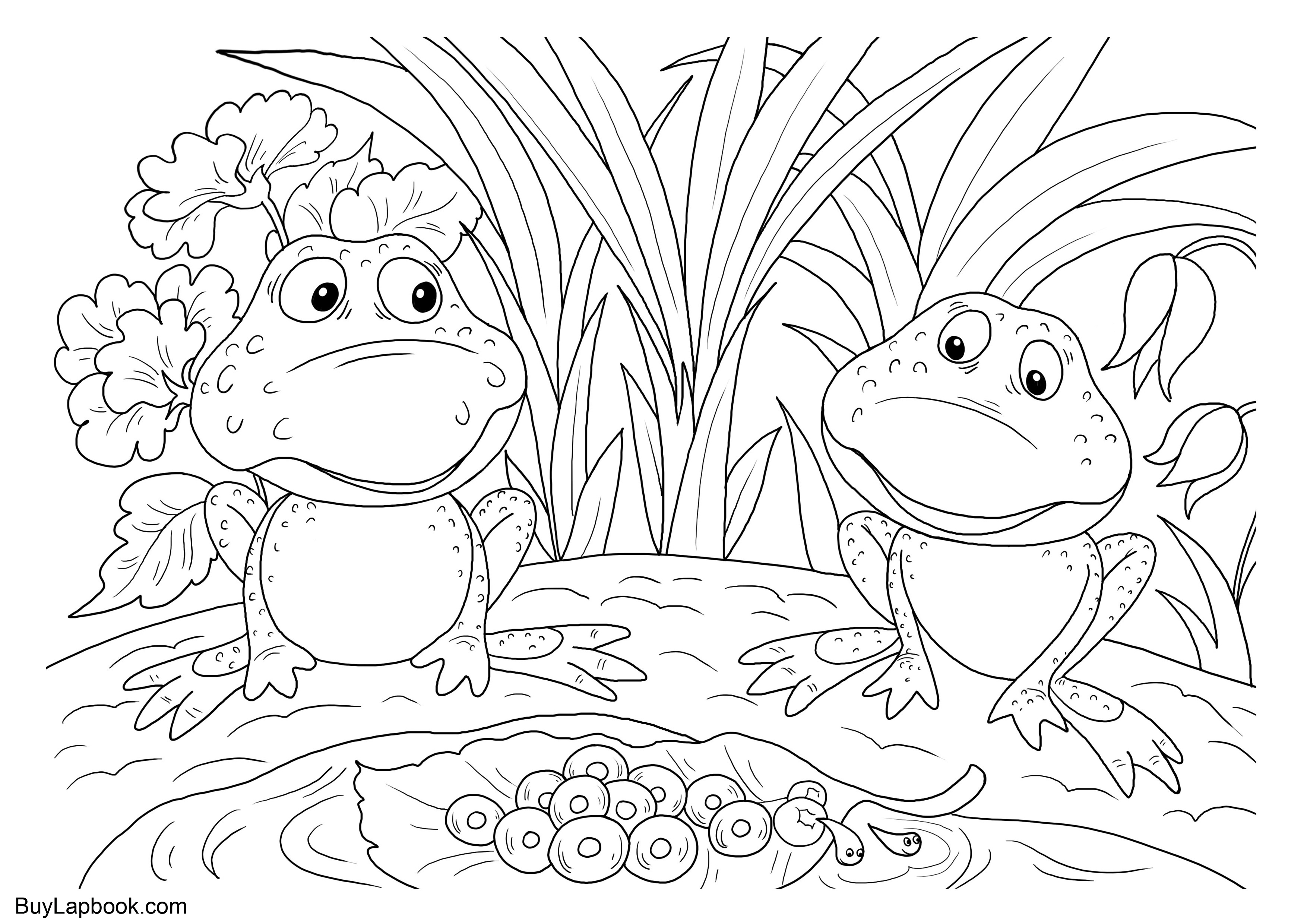 Две лягушки раскраска для детей