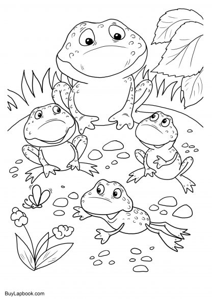 The Life Cycle of a Frog. Free Coloring Pages | BuyLapbook