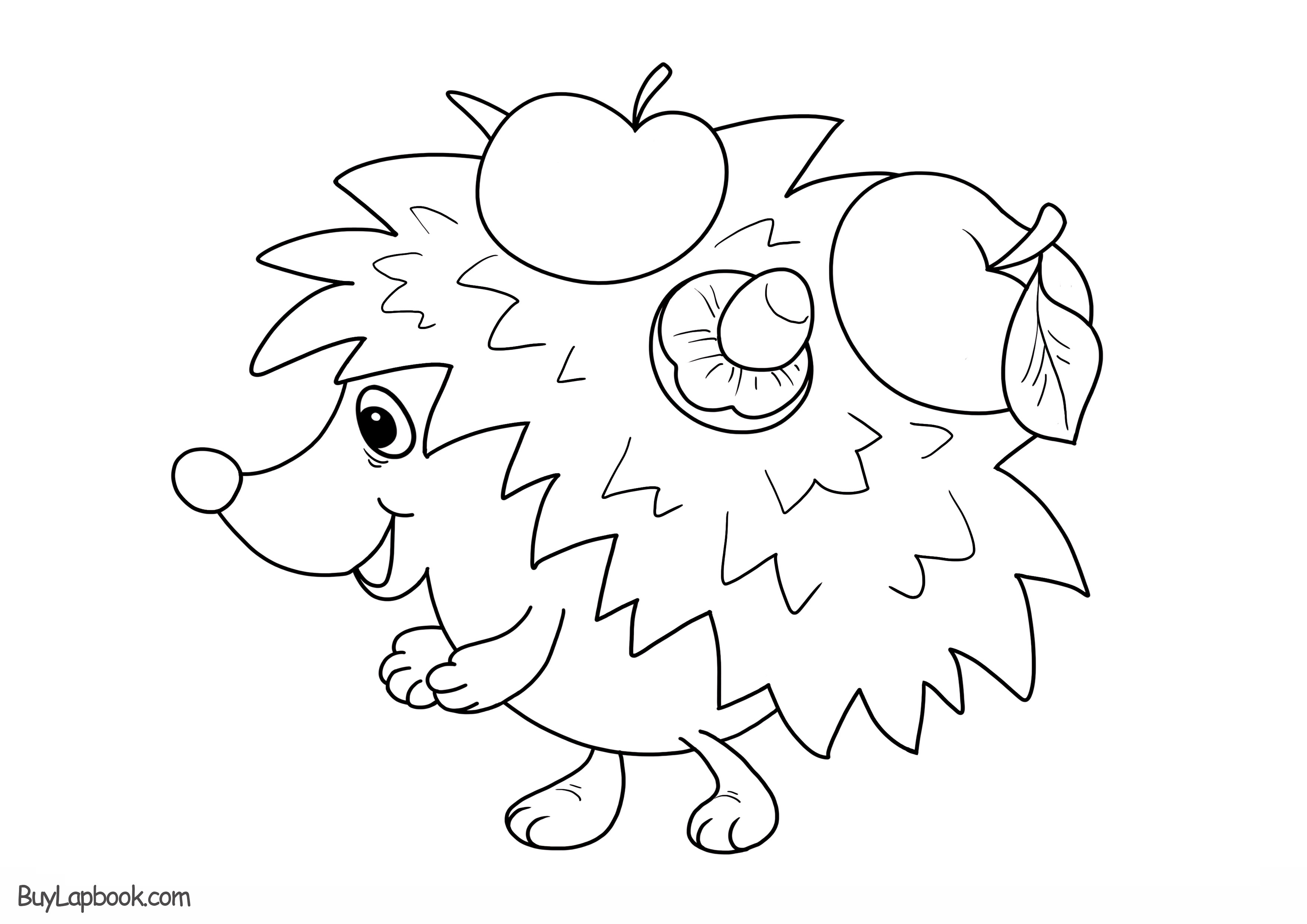 free hedgehog coloring pages printable