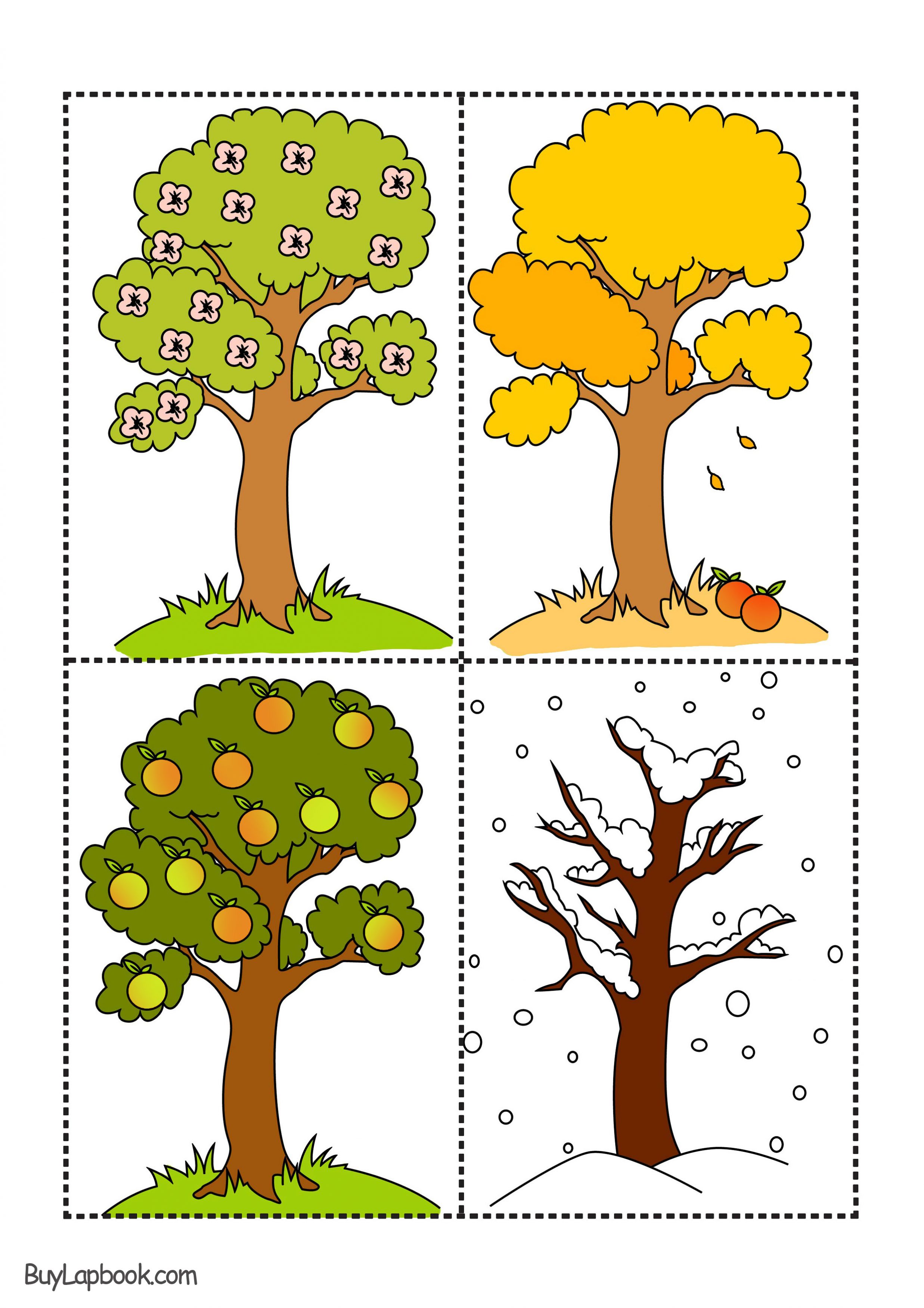 Apple Tree At Four Seasons