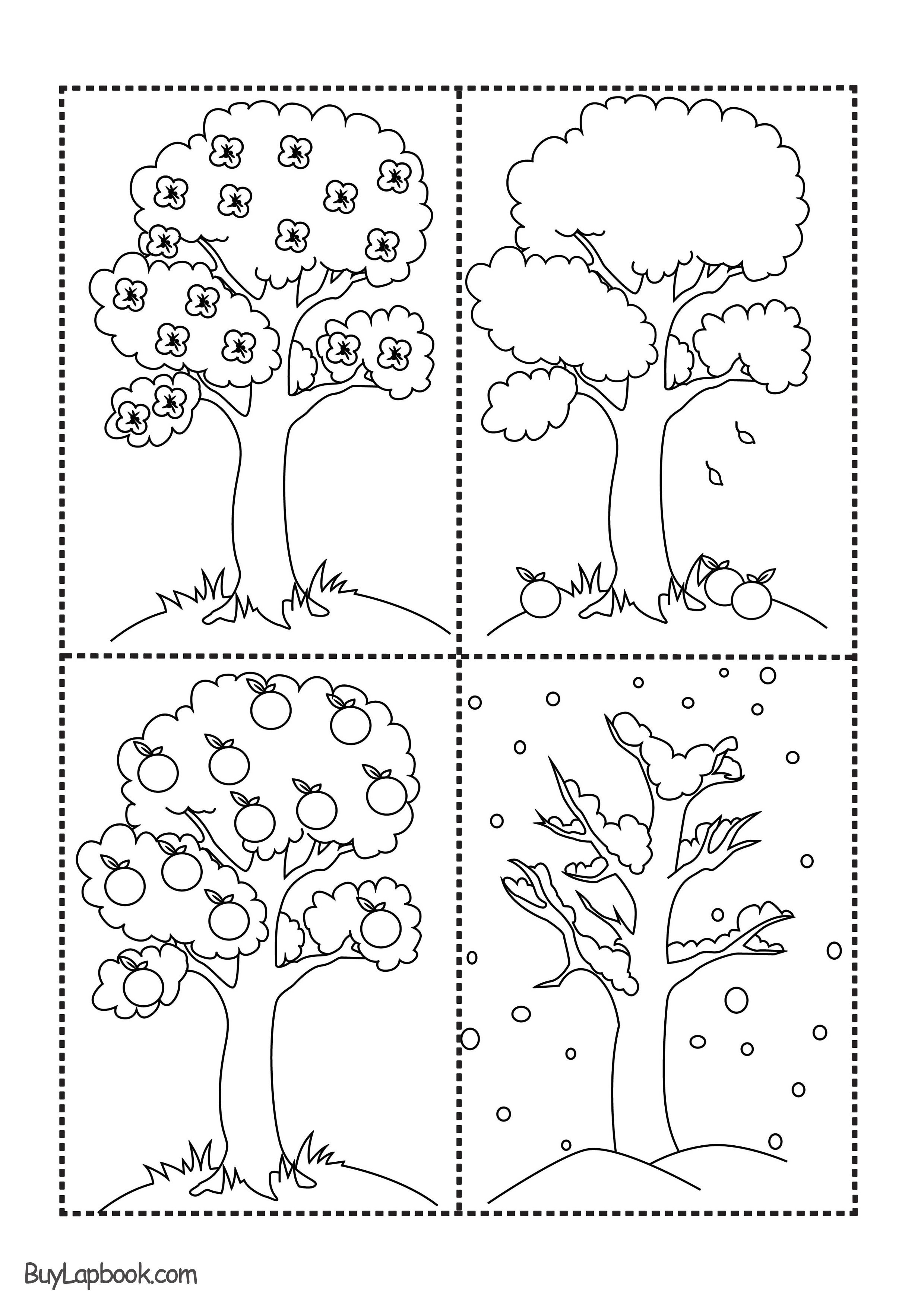 The Four Seasons of the Apple Tree Printables | BuyLapbook