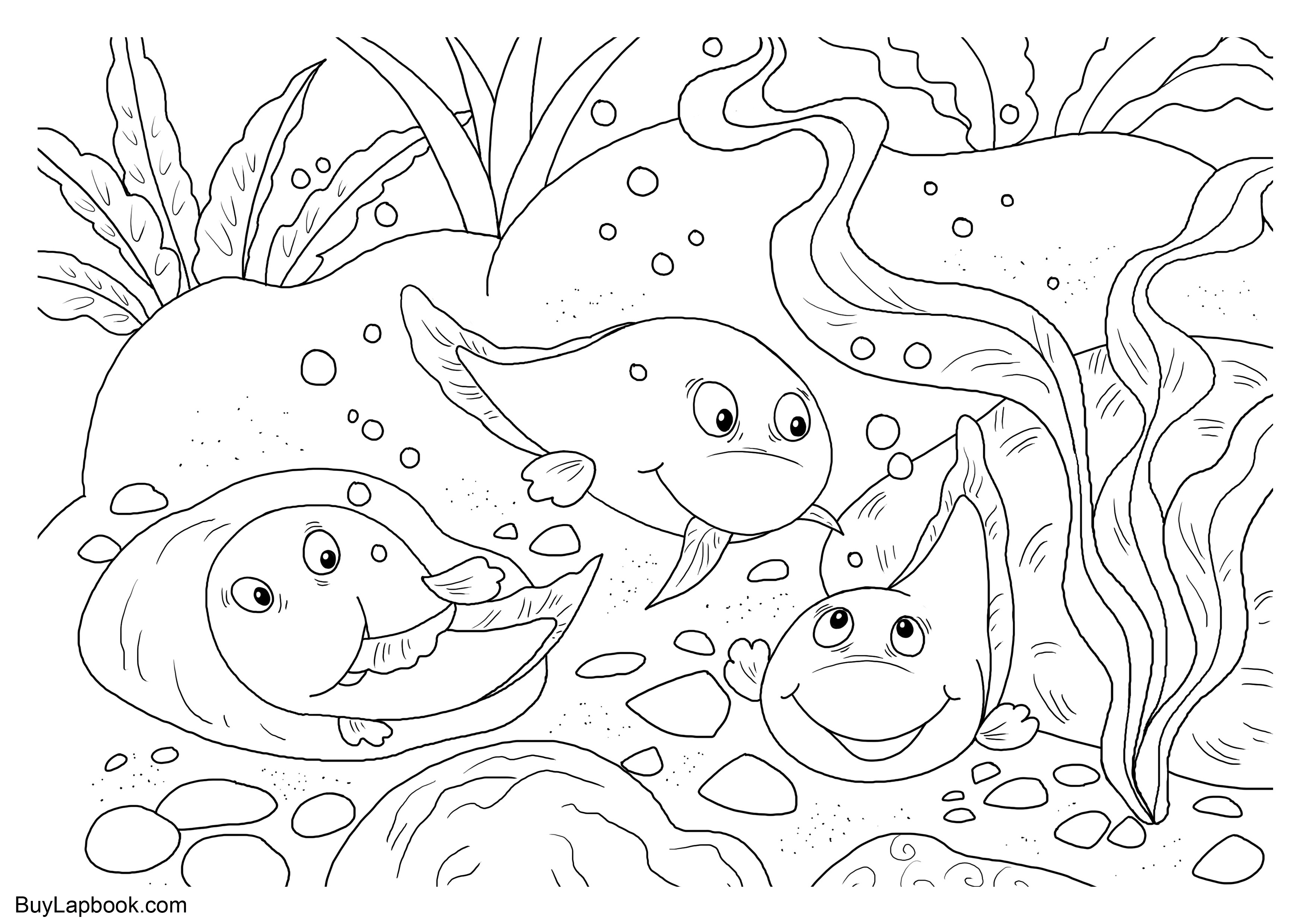 tadpole coloring pages